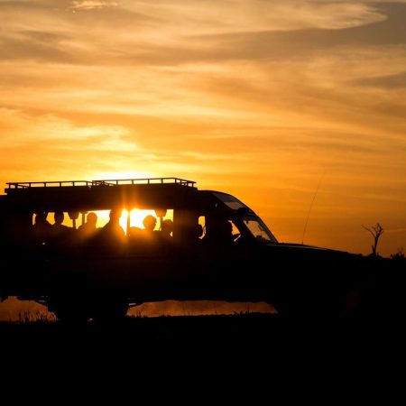 Sunrise game Drive At Serengeti National Park